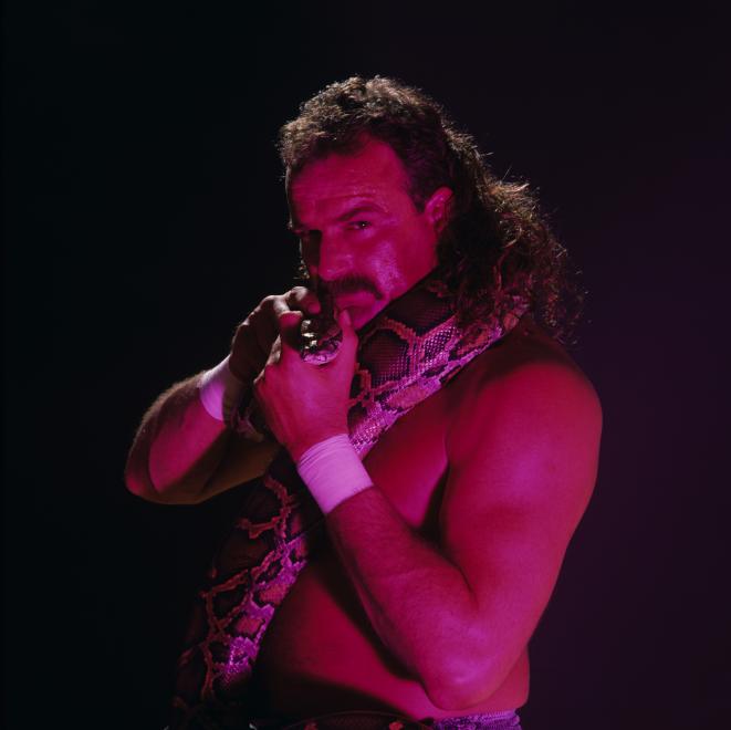 Jake The Snake Roberts